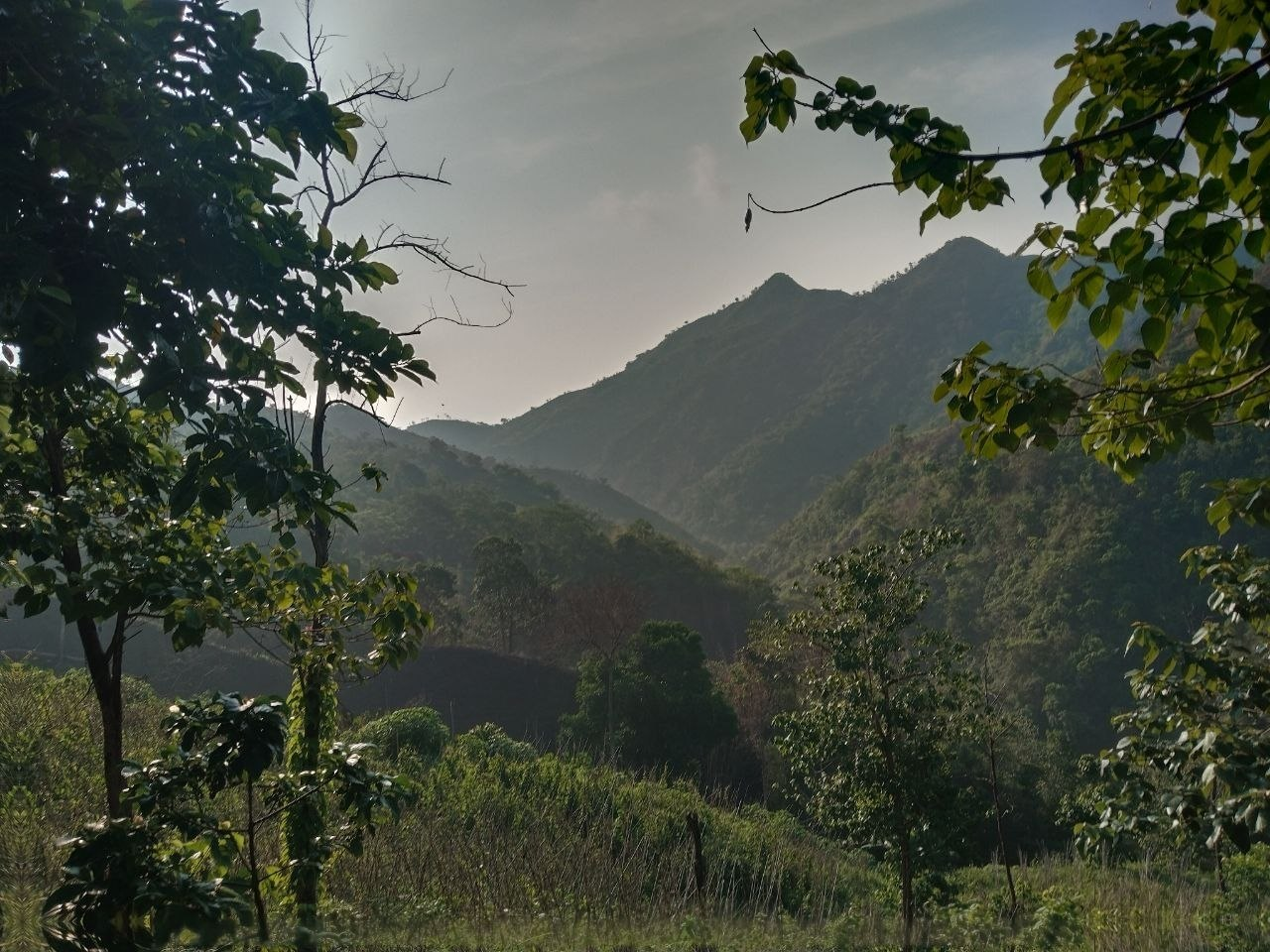 Mountain landscape near the Super Ube farming area